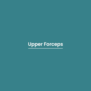 Upper Forceps